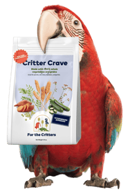 red parrot holding a bag of critter crave bird snacks in its beak