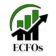 Professional CFO Services in India logo