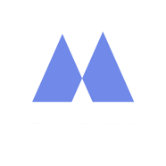 Websidium logo