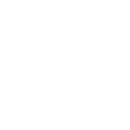 American Legal Aid logo