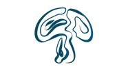 SETAPRO logo