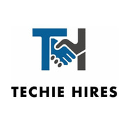 Techiehire logo