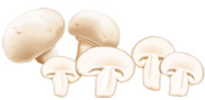 champignon comestible - champignon de Paris