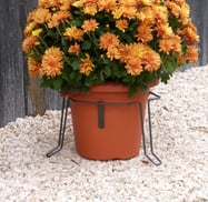 stabilisateur de pot tombe, évite plante cimetiere de tomber
