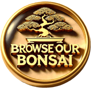 link to browse our bonsai