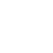 private security