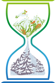 Gagnez du temps avec nos solutions sur-mesure.