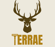 Terrae logo