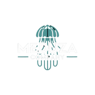 Meduzza Agency  logo