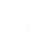 Die Libellen – das Damenquartett logo
