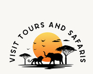 Visit Tours and Safari logo