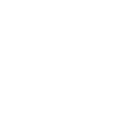 SKELIYA logo