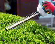 a person wearing gloves and gloves is trimming a hedge hedge
