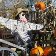 Halloween, parc Jeanne d'Arc Québec.