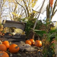 Halloween, parc Jeanne d'Arc Québec.
