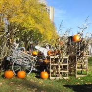 Halloween, parc Jeanne d'Arc Québec.