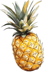 Pineapple by Sezer Ali