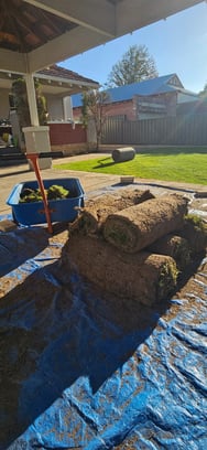 Landscaping, Lawn mowing, edging & all Gardening maintenance services