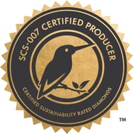 SP 3 SCS CERTIFIED