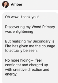 DM screenshot of Wood + Fire Archetype – Visionary entrepreneur celebrates discovering her strategic dual archetype