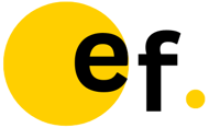 Elite Flint logo