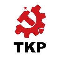TKP Carpentry and Flooring Contracting LLC logo