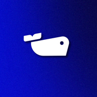 TheNeptuneMedia.io logo