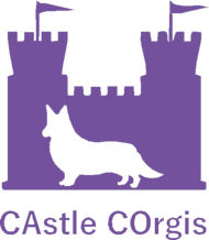 CAstle COrgis logo