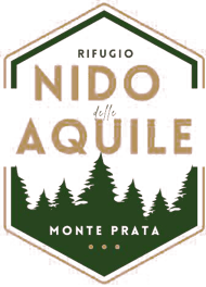 Nido Delle Aquile logo