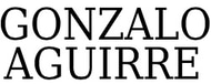 Gonzalo Aguirre Sanchez logo