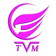 TVM TECNOLOGY logo
