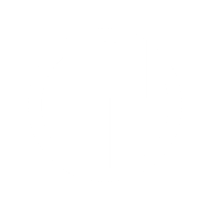 ng4 esports logo