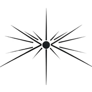 rudziusalinimas.lt logo