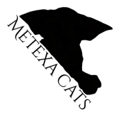 Metexa Cats logo - U.K. cat breeders & exhibitors of Quality Oriental & Siamese cats.