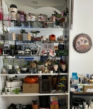 Specials and Deals 50% off while supplies last