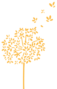 pétales de fleurs qui s'envolent qui symbolisent l'autonomie du client, la sensation de légèreté