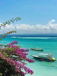 vue du lagon de Nusa Lembongan avec des fleurs au premier plan et vagues au large. On aperçoit aussi quelques bateaux.