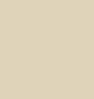 bone_solid surfaces
