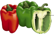 légume fruit - poivron