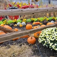 Halloween, jardin Hôtel de ville de Québec.