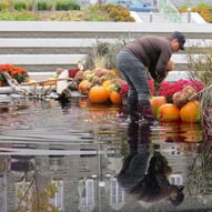Halloween, jardin Hôtel de ville de Québec.