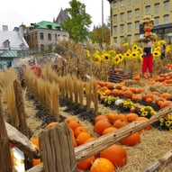Halloween, jardin Hôtel de ville de Québec.
