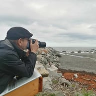 marhart, photo, fleuve, automne