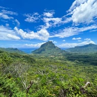 Vue panoramique sur la forêt verdoyante de Moorea