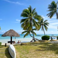 Plage de Moorea avec des palmiers et l'eau transparente