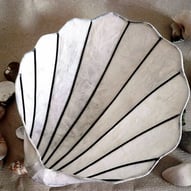 MOLLUSK Muschel aus Papier mediterane Tischdeko Muschelschale Dekoschale Meeresmuschel weiss