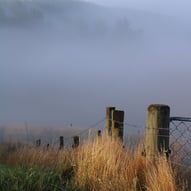 Fence at dawn, Glentunnel, New Zealand 2023