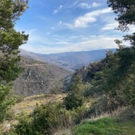 Les gorges de la Dourbie