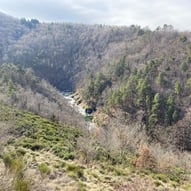 Les gorges de la Dourbie