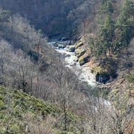 Les gorges de la Dourbie